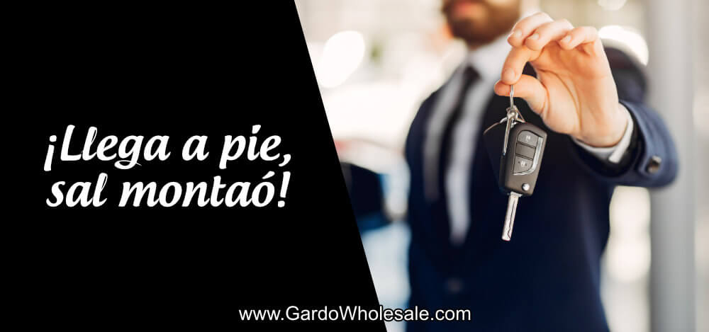 Dealer Toa Baja - Gardo Wholesale